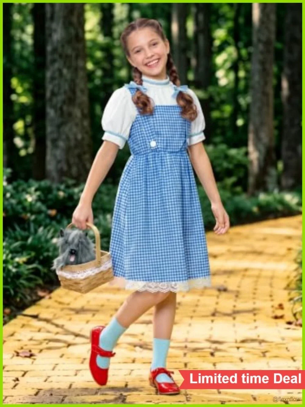Girls Blue Gingham Storybook Costume Set Dress Socks Bows Basket Book Week